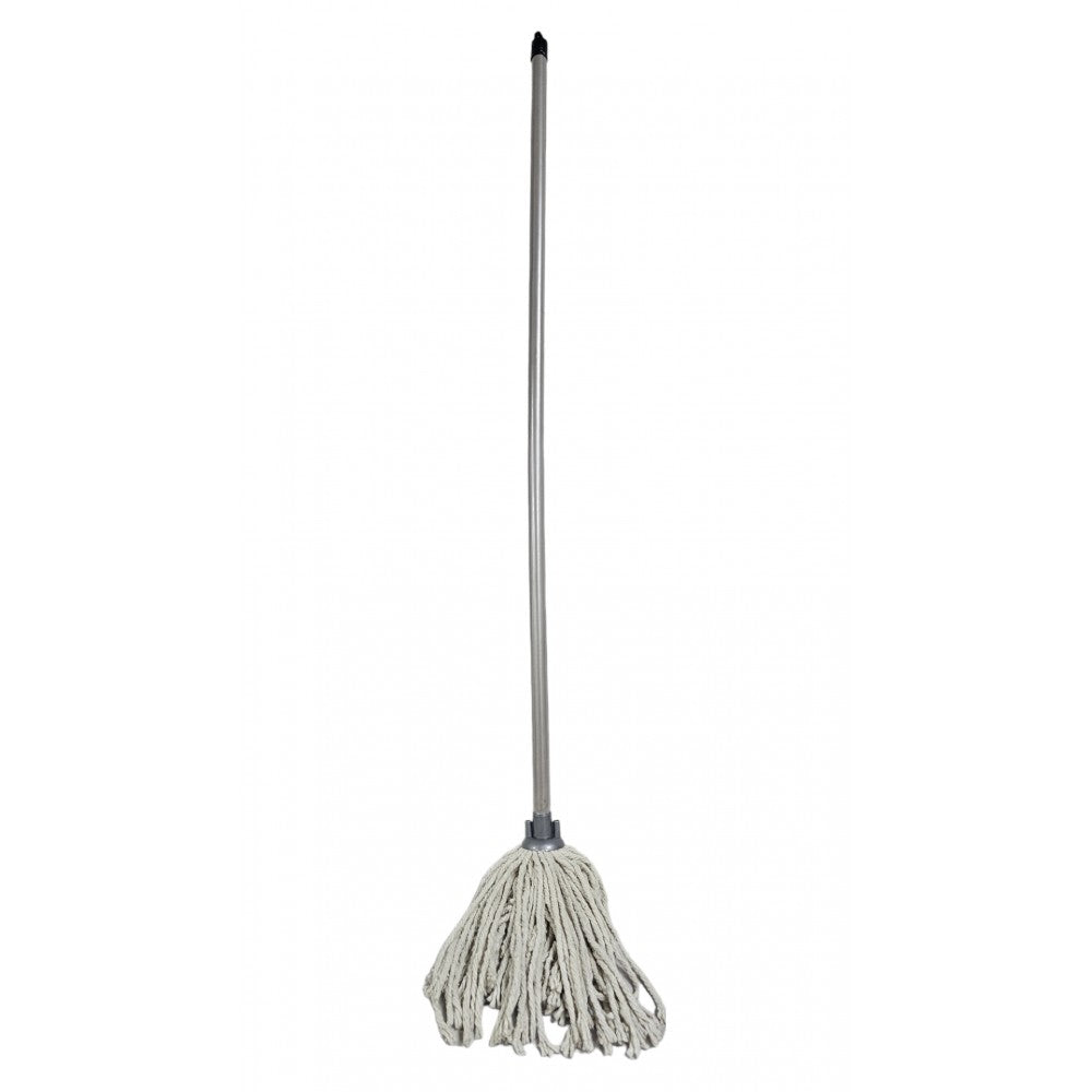 Budget Mop with Stick