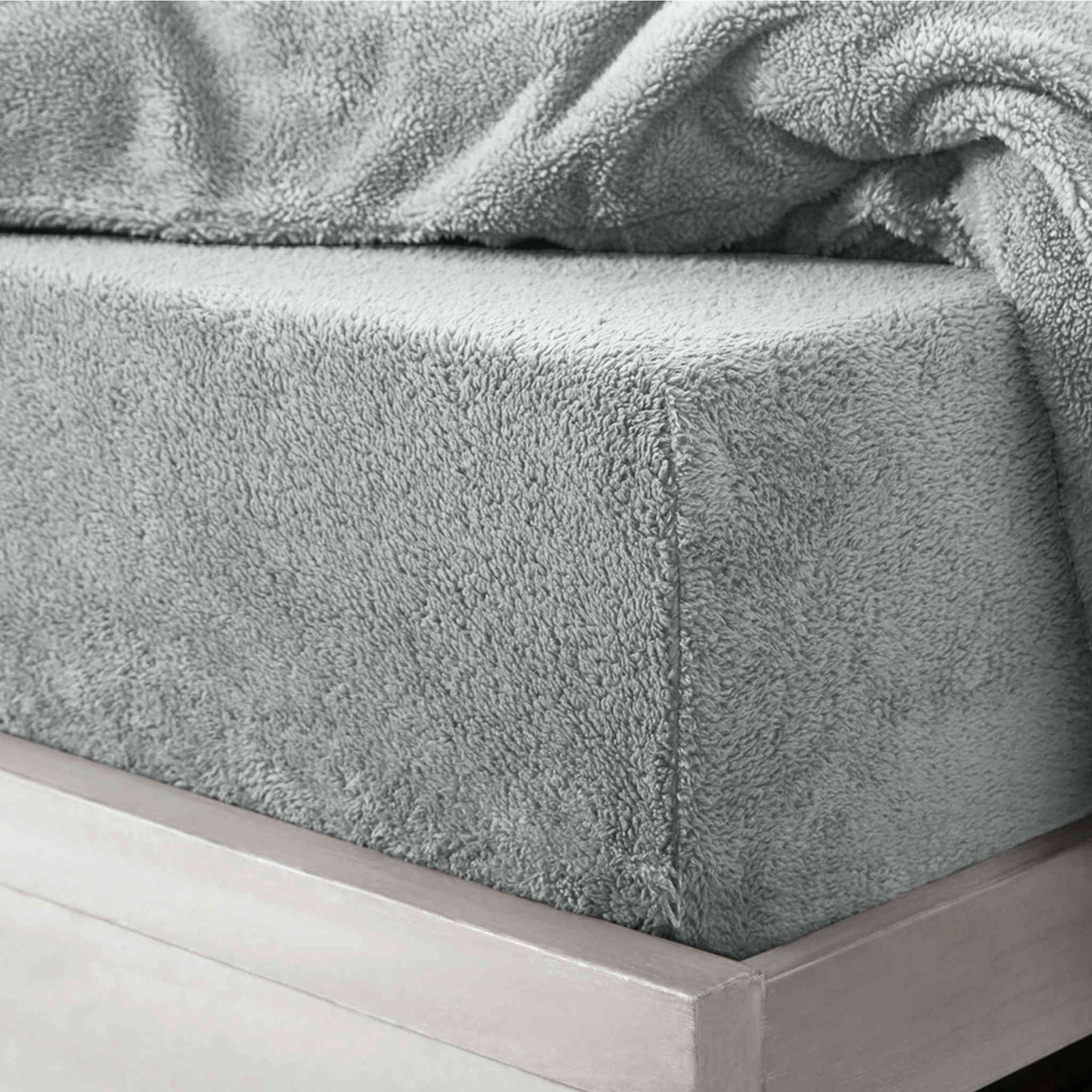 Teddy Plain Dye Fitted Sheet