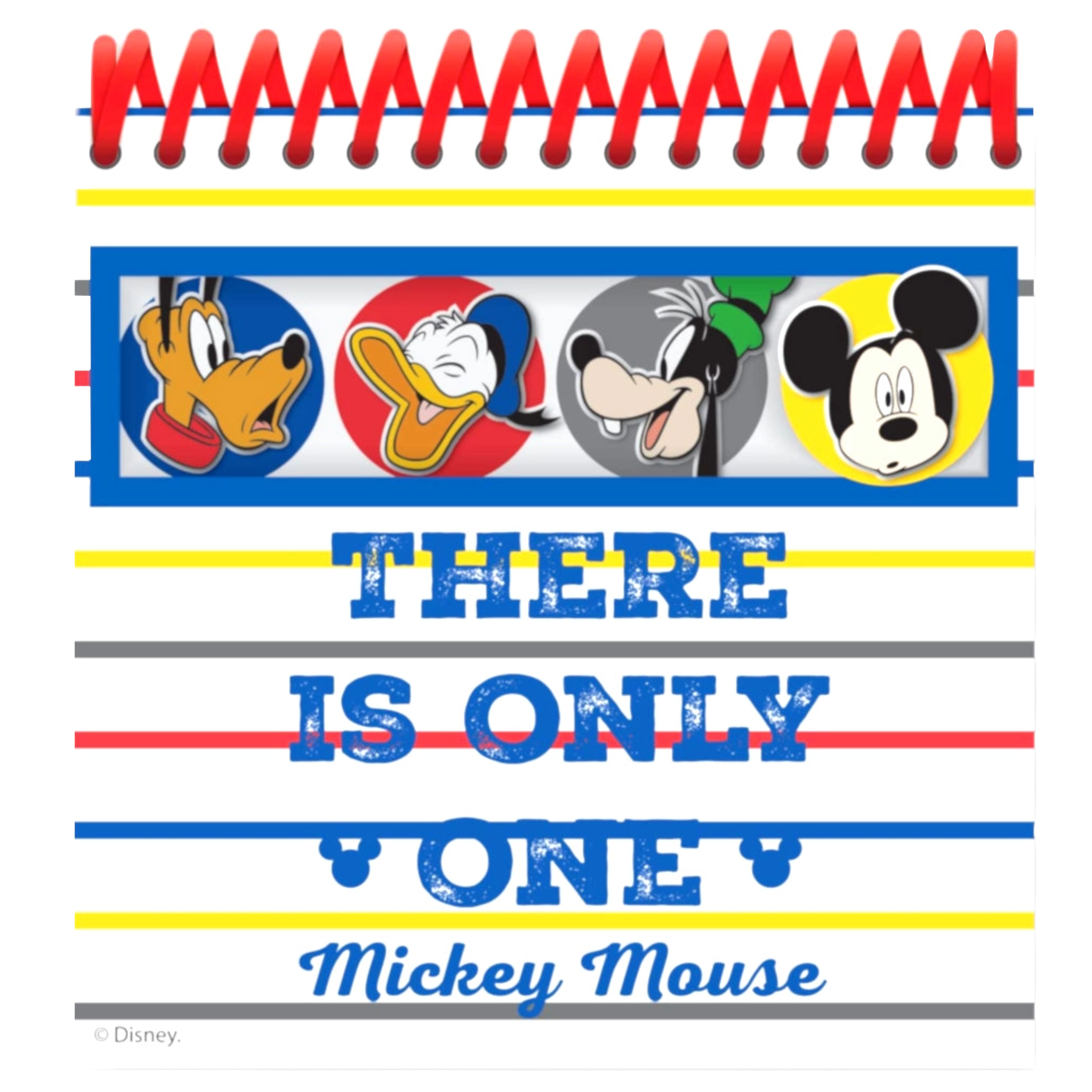 Disney Mickey Mouse Party Bundle