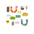 Photo Props Hawaii 13 Pieces