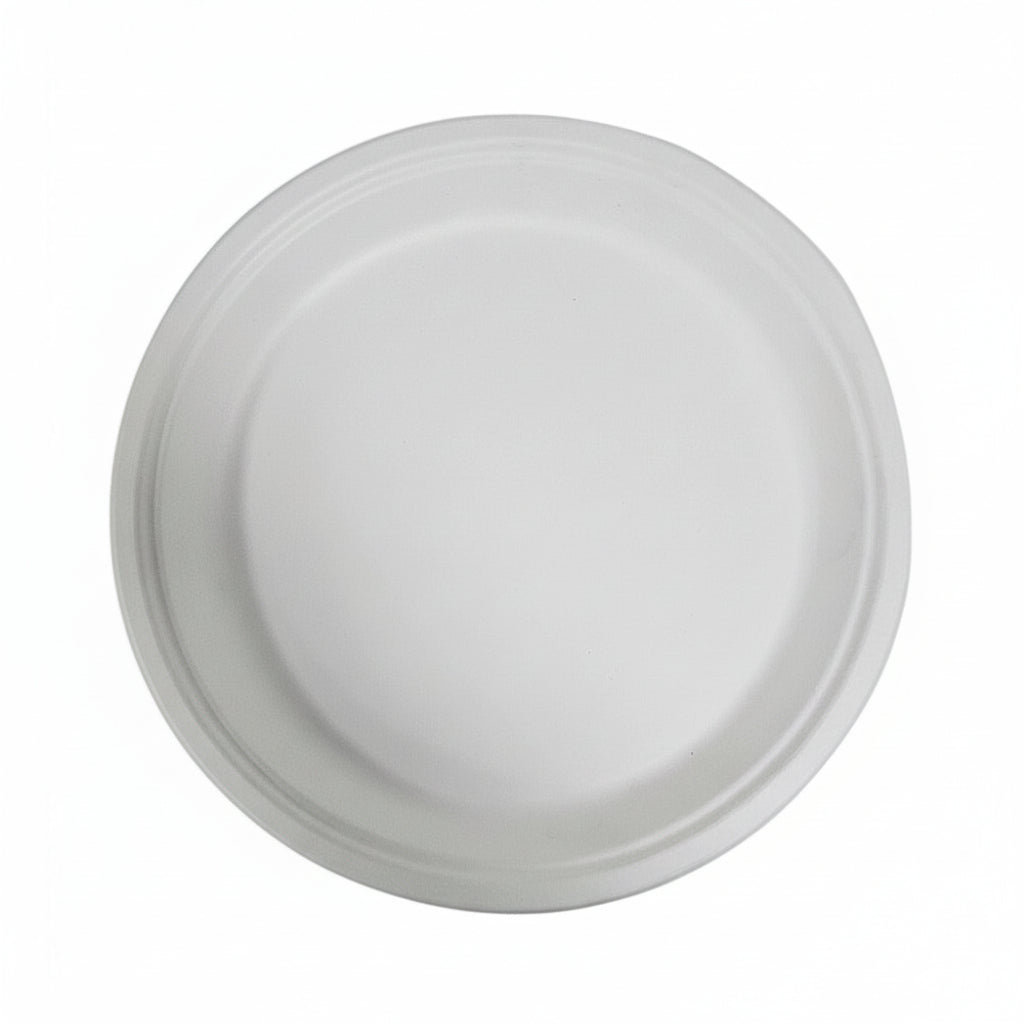 10" Disposable Plate 8 Pack