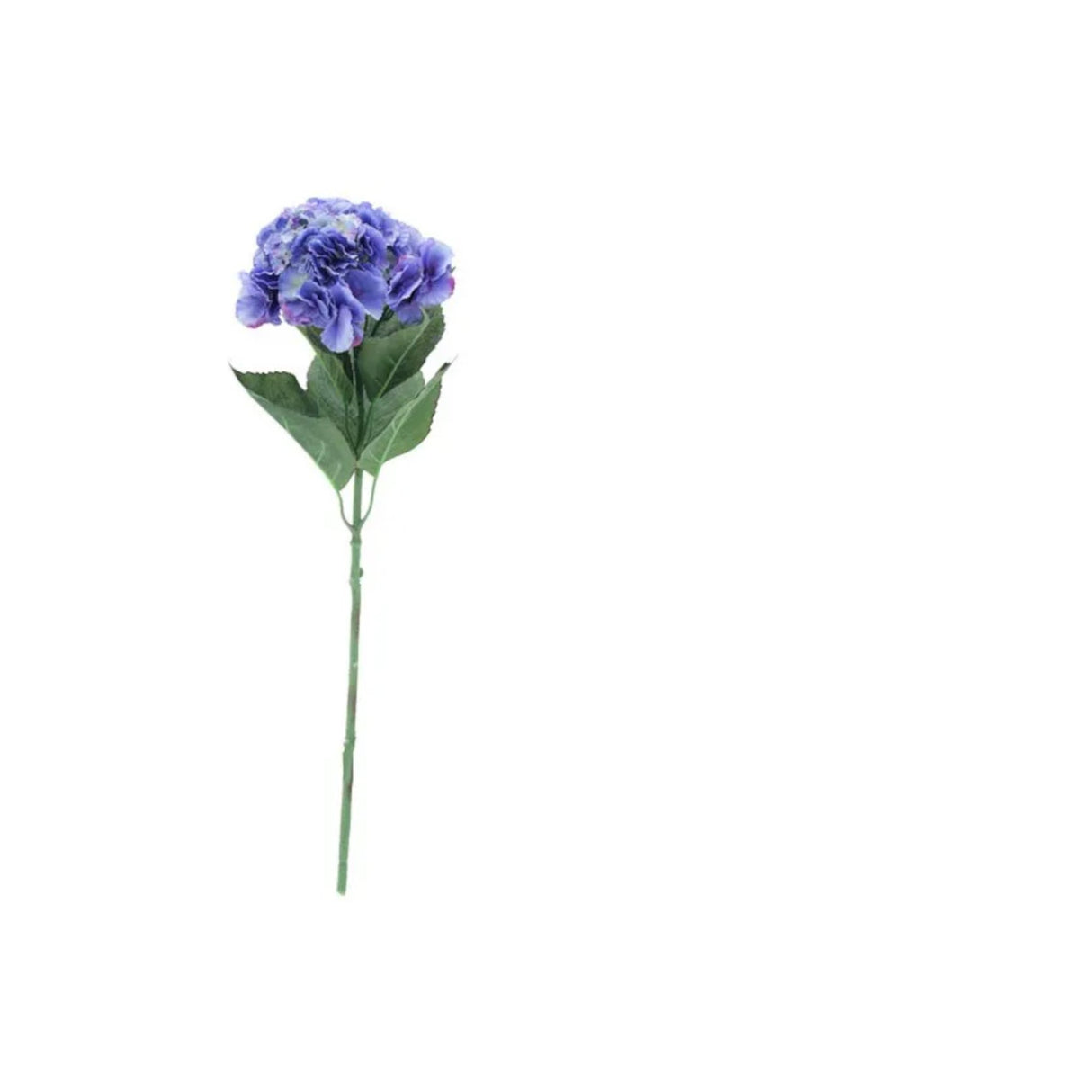 Hydrangea Blue 70cm