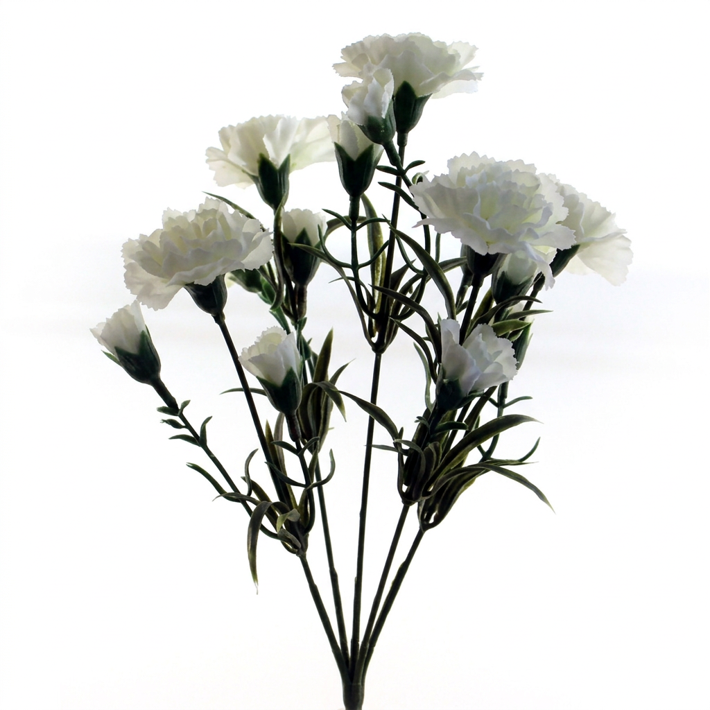 Ivory double carnation bush