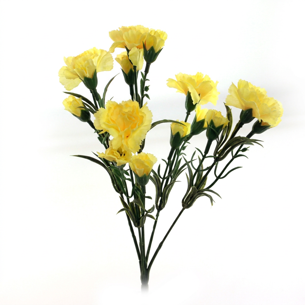Yellow carnation bush