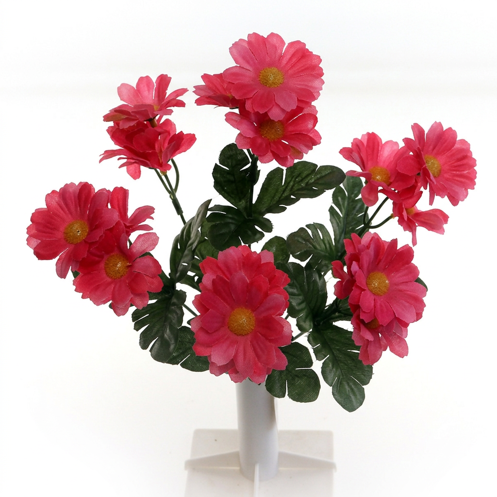 Dark pink daisy bush