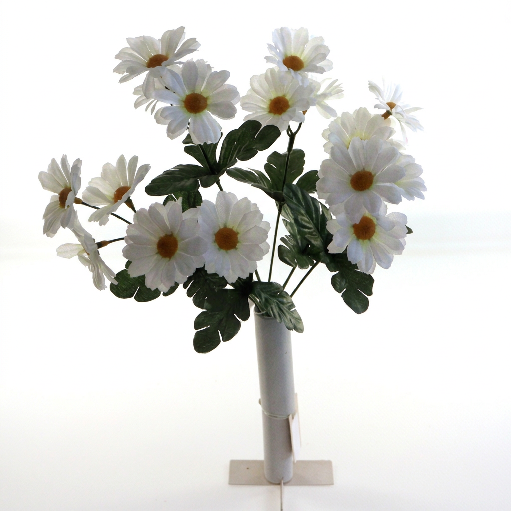 Ivory daisy bush