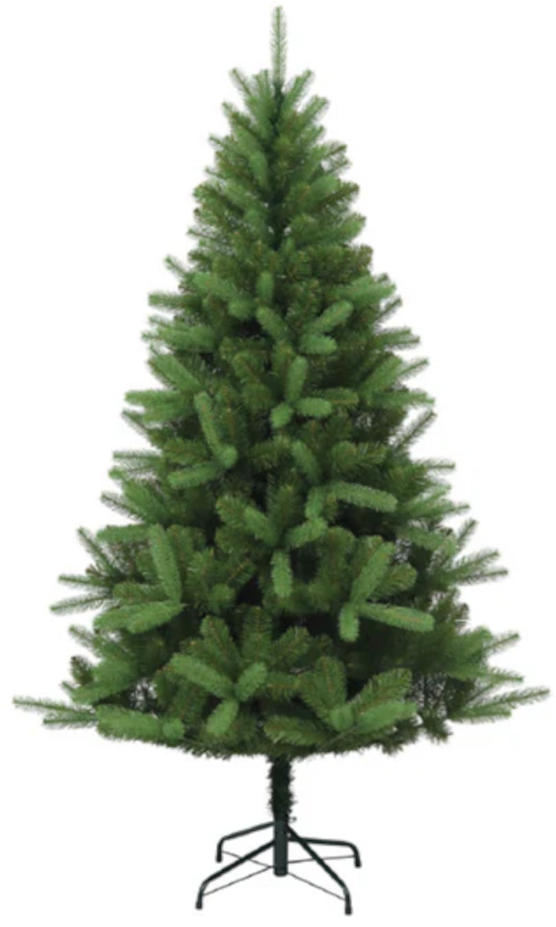 7' Canterbury Spruce