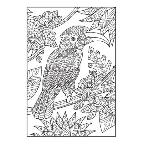 Patterns In Nature Advanced Colouring Book