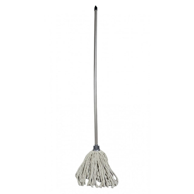 Budget Mop with Stick