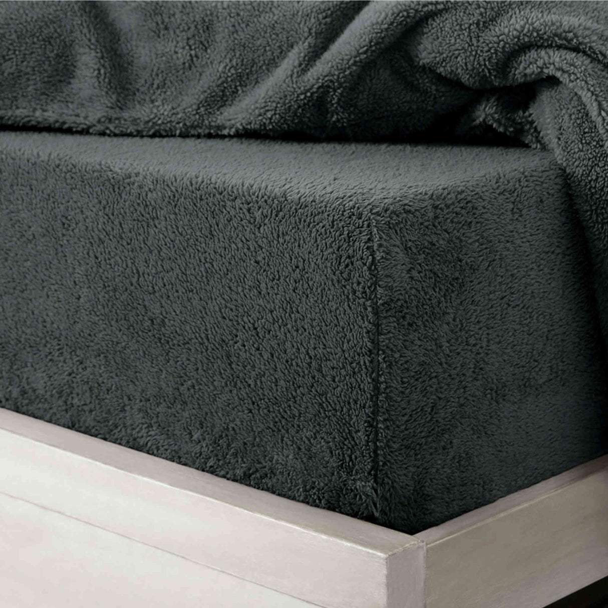 Teddy Plain Dye Fitted Sheet