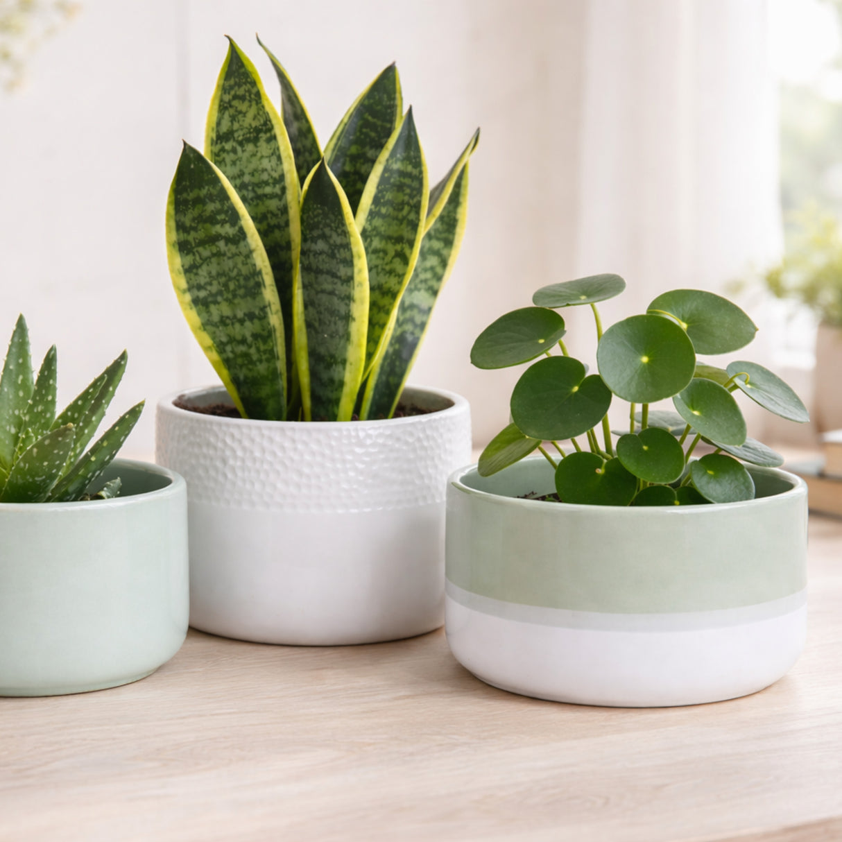 Textured Ceramic Vase | Small, Medium & Large