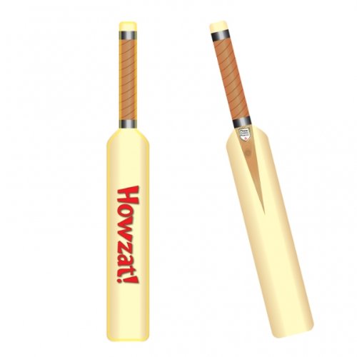 Inflate Cricket Bat