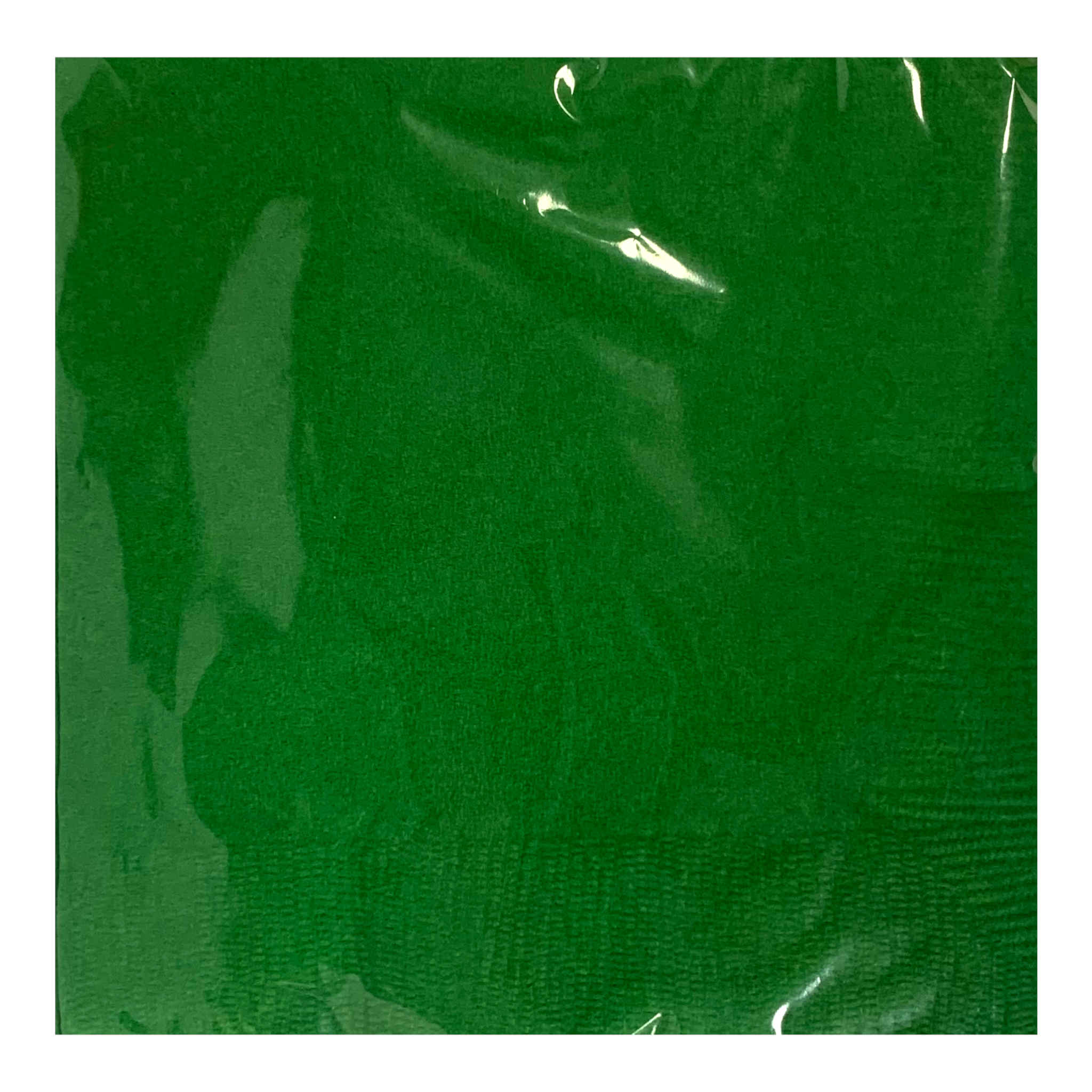 Beverage Napkins Festive Green | 2 ply | 25 x 25cm | 50 Pack